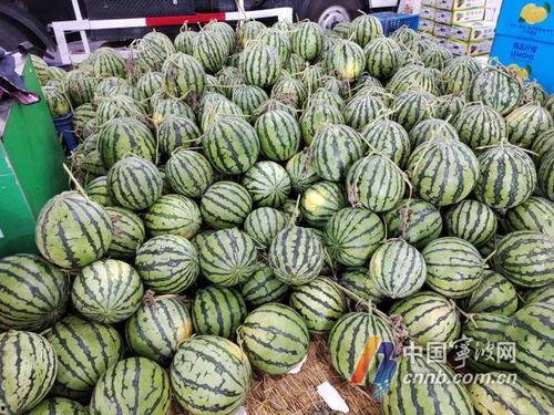 宁波亚细亚吃瓜,一场吃瓜盛宴背后的故事与启示