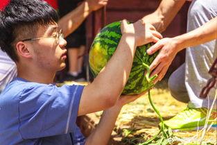 陕西大学 吃瓜,揭秘校园里的“吃瓜”文化现象