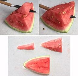 暑假吃瓜现象,揭秘暑假吃瓜现象背后的文化现象