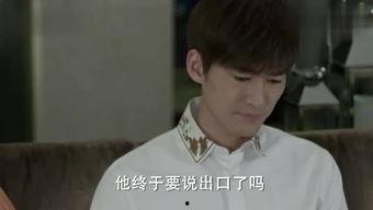 杉杉吃瓜说娱,揭秘娱乐圈幕后故事