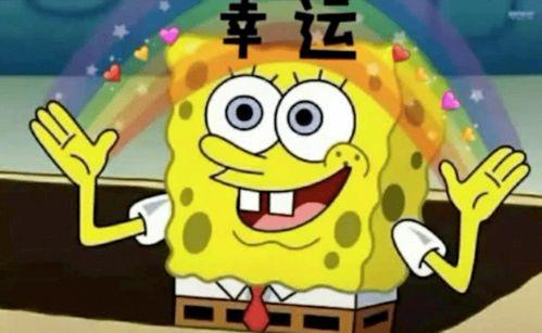 播放海绵宝宝吃瓜,瓜果飘香欢乐无限