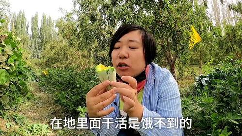 干活累了吃冻瓜,干活累了，来一块冰爽冻瓜！