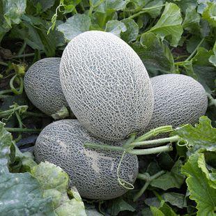 12吃瓜,揭秘娱乐圈背后的那些事儿