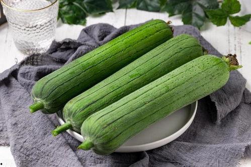 帮瓜怎么吃,帮瓜的多样食用方法与美味探索