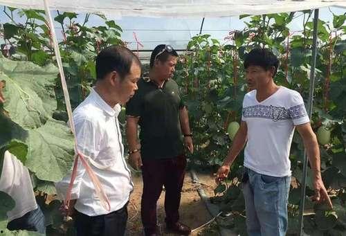 台州黄岩吃瓜事件