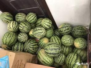 江科吃瓜群,揭秘校园热点背后的故事