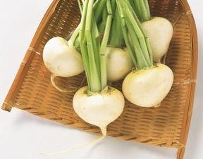 冬吃萝卜夏吃瓜的言语,冬萝卜夏瓜，养生之道