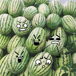 吃瓜聪明,揭秘娱乐圈背后的真相