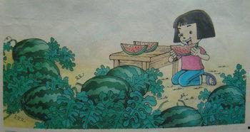 瓜地吃瓜 看图写话,一场视觉与味觉的盛宴