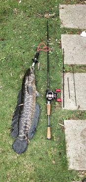 钓鱼吃瓜的图片,悠然自得的生活画卷