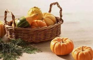 夏天吃五瓜是哪五种瓜,夏日五瓜养生之道