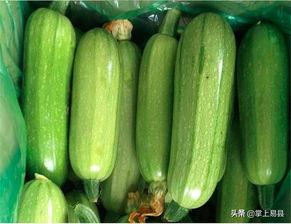 为什么主播都吃西葫芦瓜,主播们的美食秘密