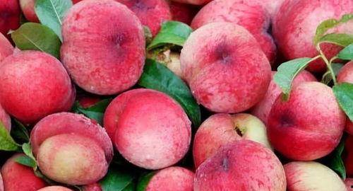 桃桃学姐吃瓜,揭秘娱乐圈那些不为人知的幕后故事