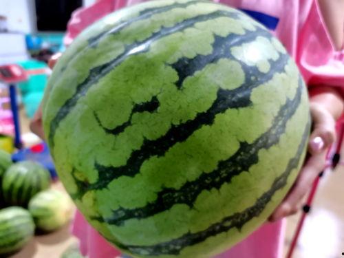 帝王套吃瓜视频,揭秘宫廷秘闻，吃瓜群众围观宫廷风云