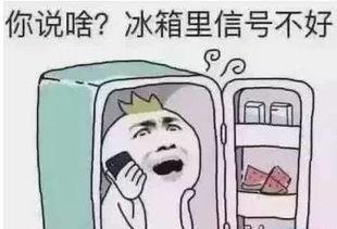 吃瓜先掏心的人,揭秘娱乐圈背后的真实人生