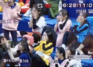 超新星全运会吃瓜,明星竞技场上的吃瓜盛宴